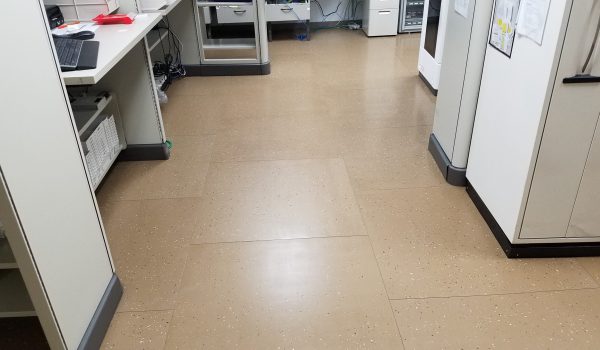 20181014_183742 20181014_183742